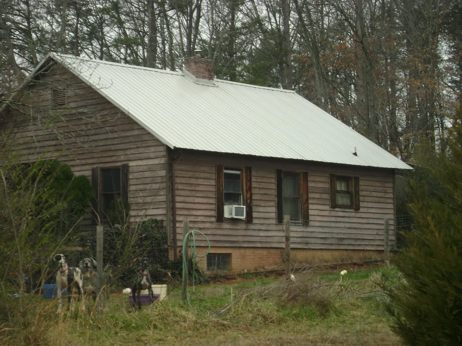 White metal roof on an old wood sided farmhouse, from a Metal Roof Installation job in Gully